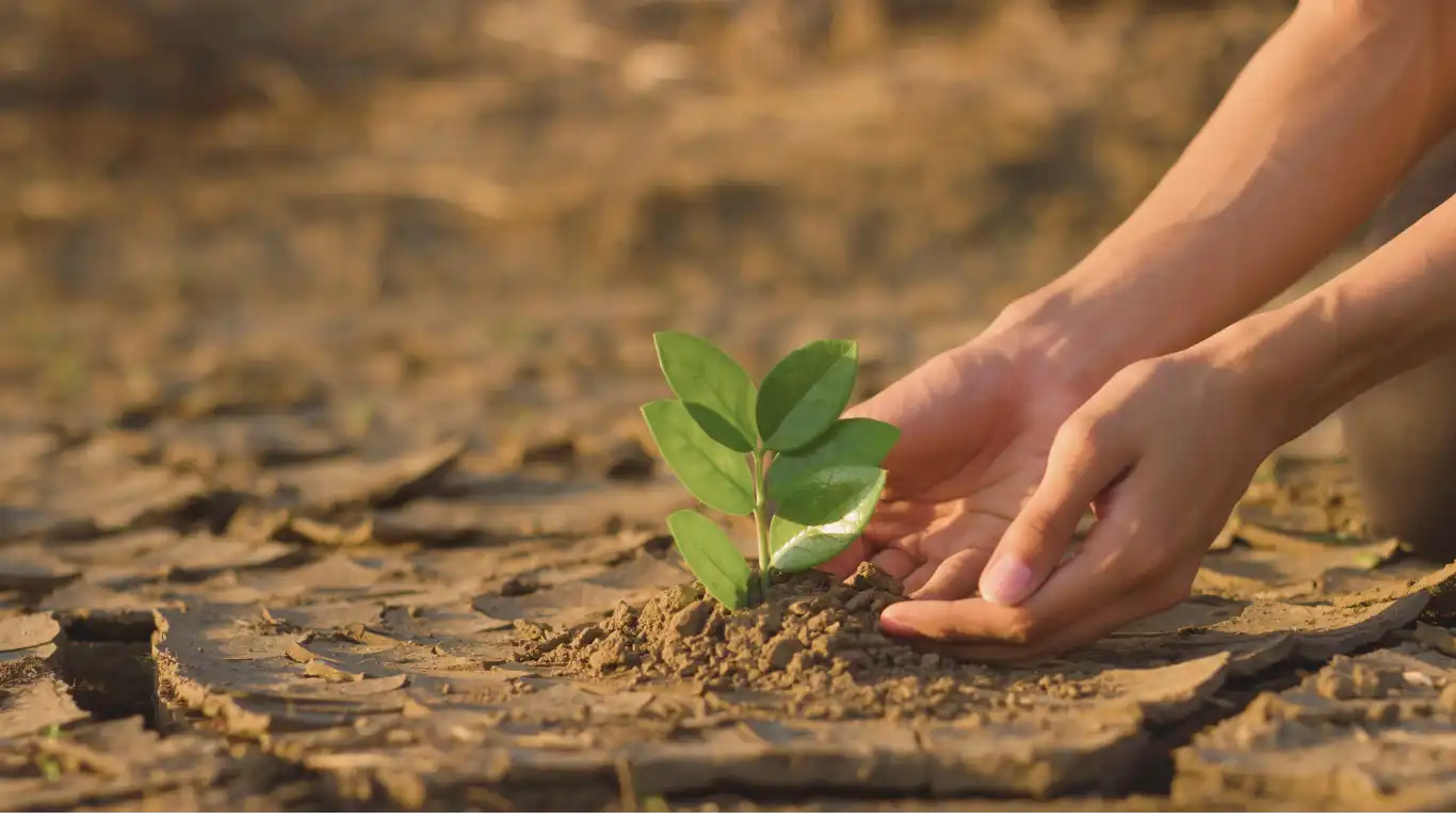 Bagaimana cara menjaga lingkungan? 5 tindakan yang dapat Anda lakukan