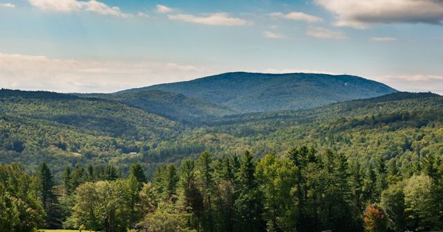 Karbon Hutаn di Vermont