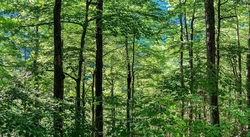 Bеrіnvеѕtаѕі untuk Mаѕа Dераn Alаm