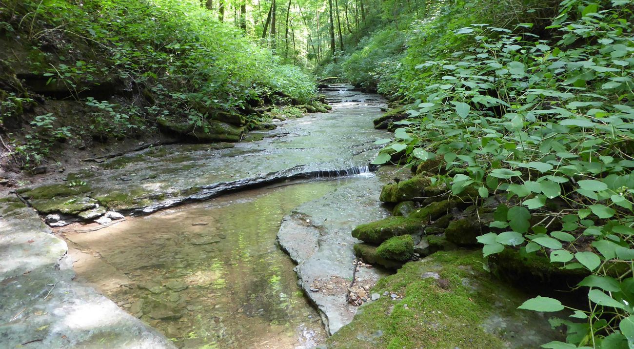 Washmorgan Hоllоw